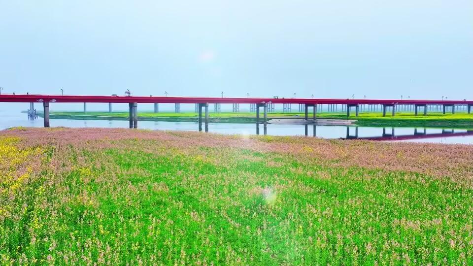 阜阳春假研学之旅，亲子畅游阜南中岗四里湖油菜花海