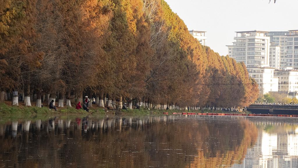 蝴蝶大乐透26018期分析，本期的重点依旧是温码，可以考虑2到3个号码