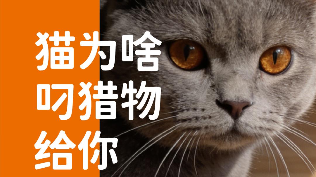 象乡宠物食品 | 猫为什么叼猎物给你