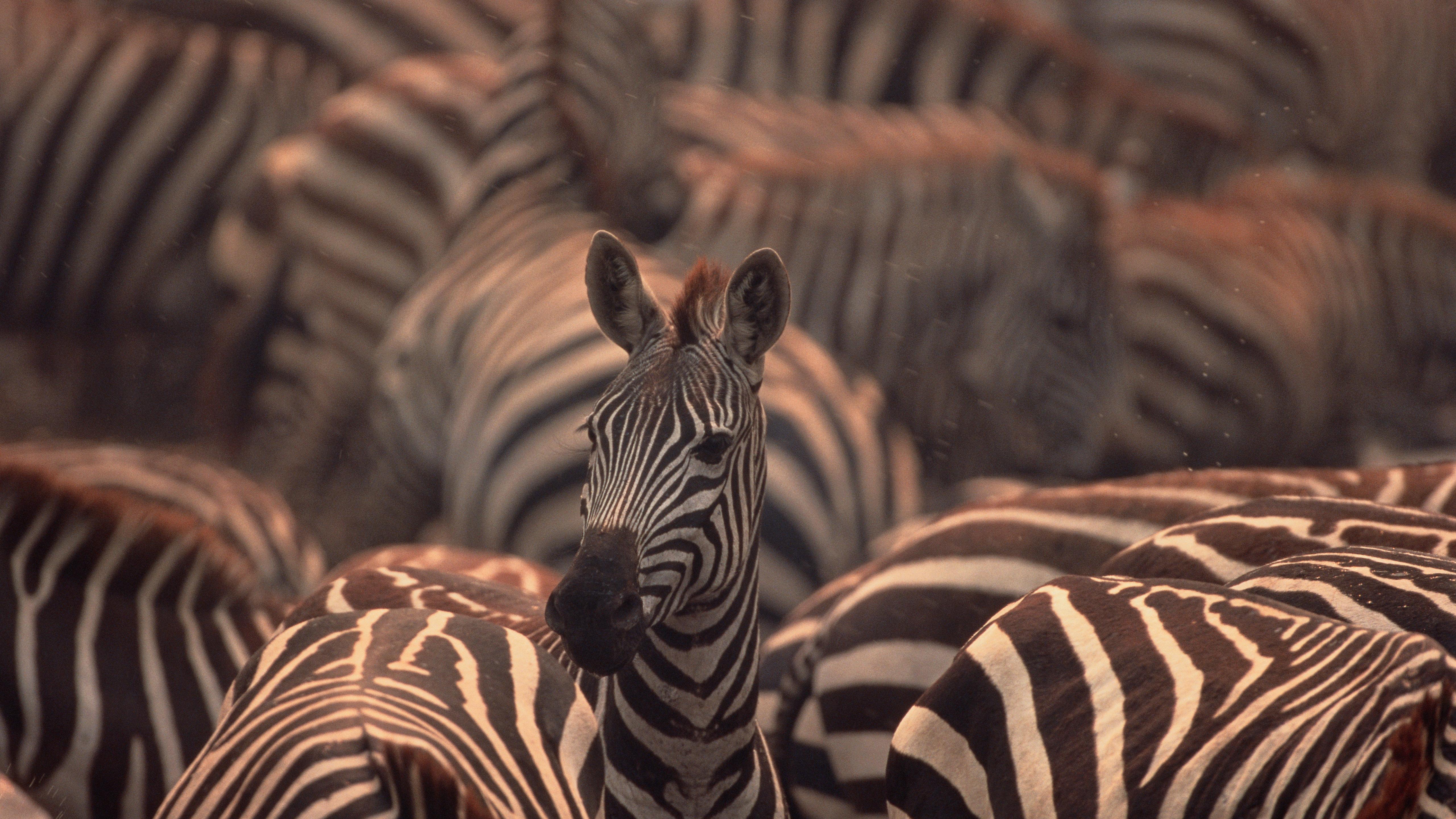为什么监管越严，市场反而更稳？