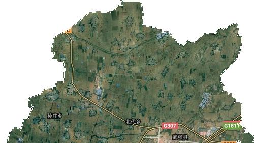 孙姓聚集地：武强县