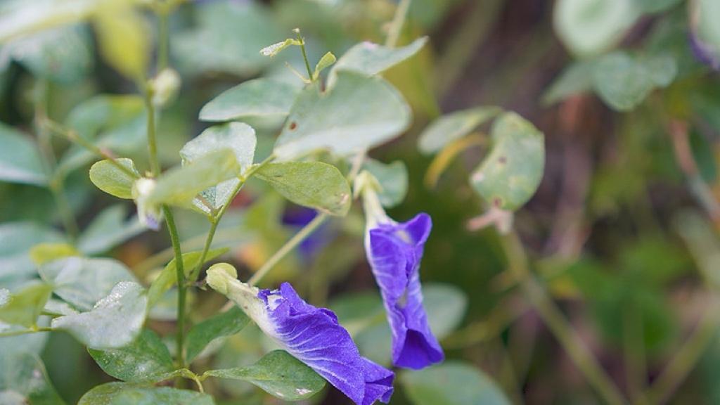AI让你失业？别被火花吓到