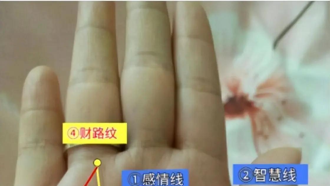 姐妹感情线这么长