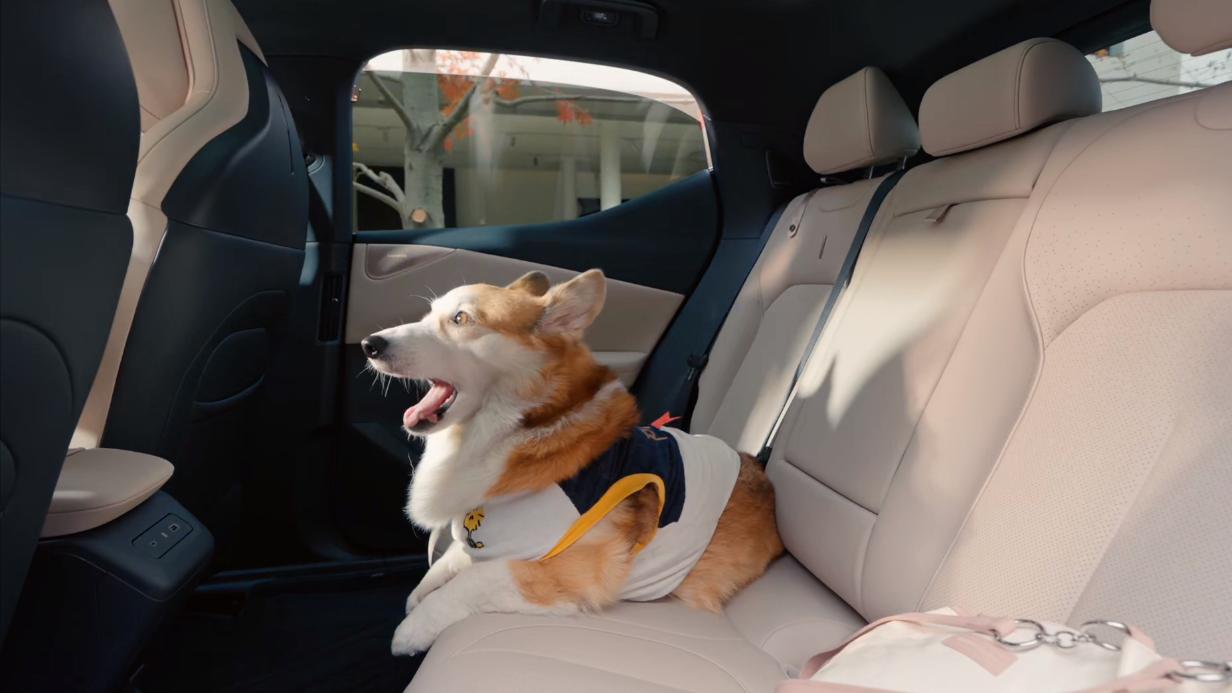 领克Z20 LYNK Flyme Auto 2.0.0升级，让科技贴近生活日常