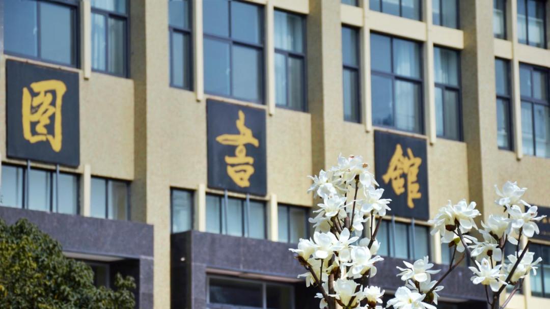 王涛：雁塔法苑，四季藏芳