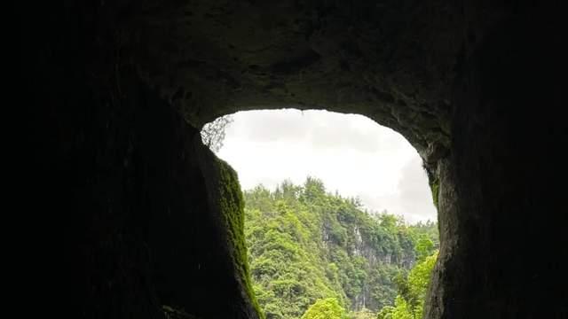 重庆周边游，酉阳桃花源美景攻略！