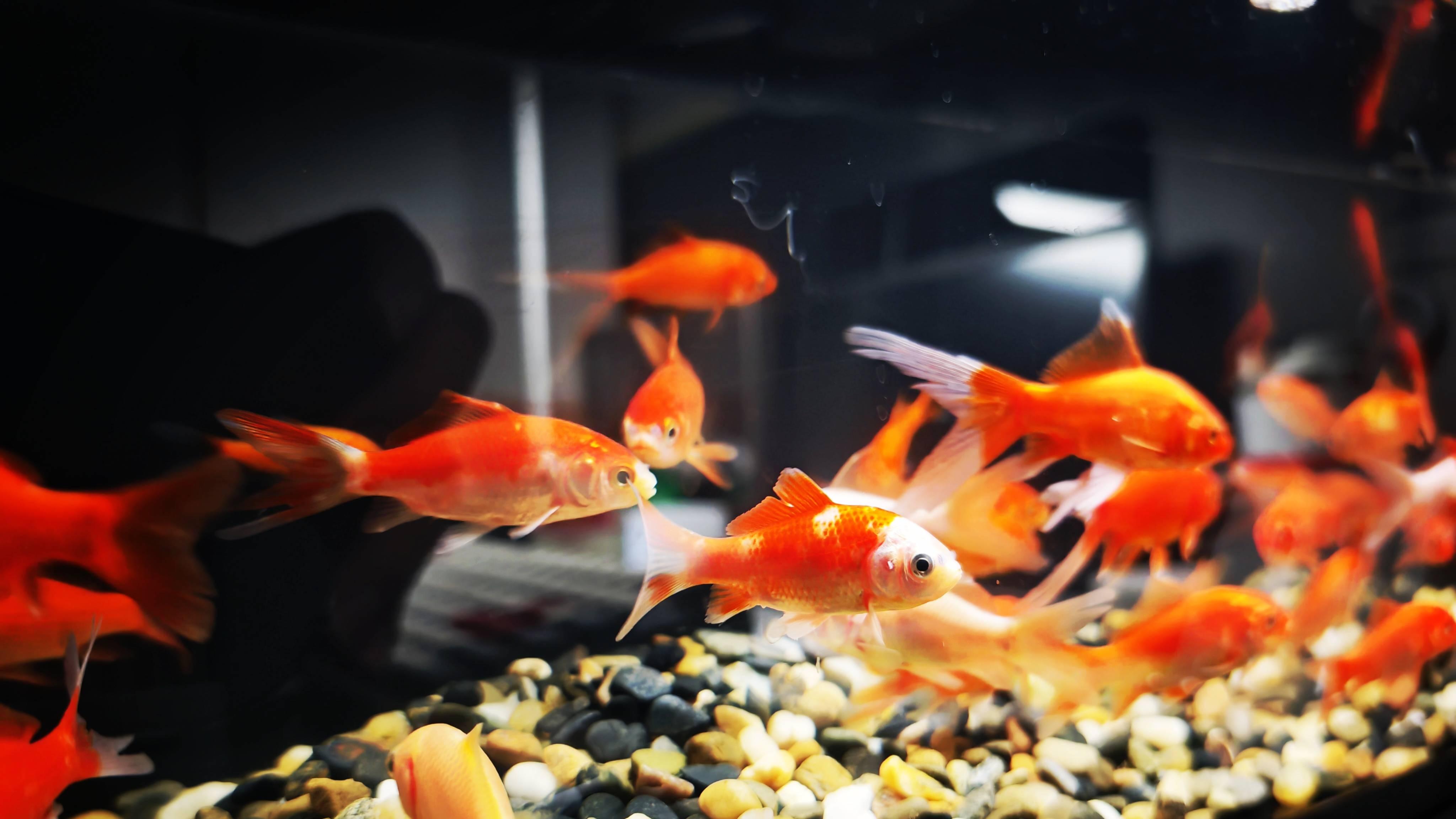 善韵缘|为何家中这四处“定海神针”动不得？一挪，好运气悄悄就散了！