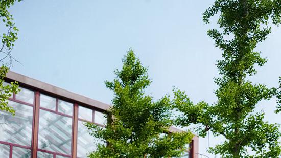 释宗恩法师佛前供花的禅意哲思