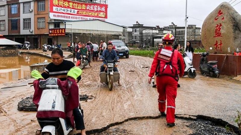 洪水还没散，眼镜蛇又出现，老百姓真的很苦