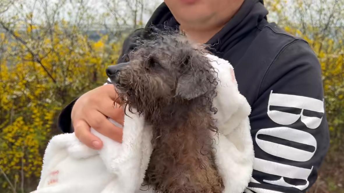 养宠不是一时冲动，而应是一生的责任，不要随意抛弃他们 好吗