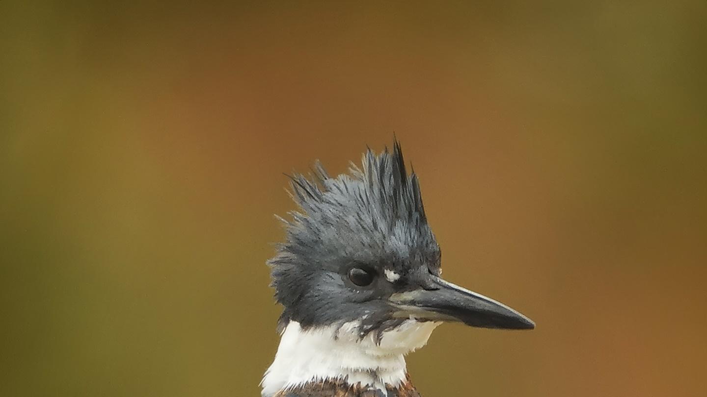 真正与自己和解的人，通常都有这 6 种表现
