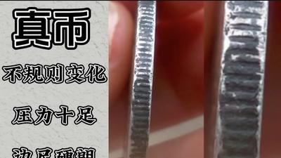 银元圈：不要再说他们是真银假币了