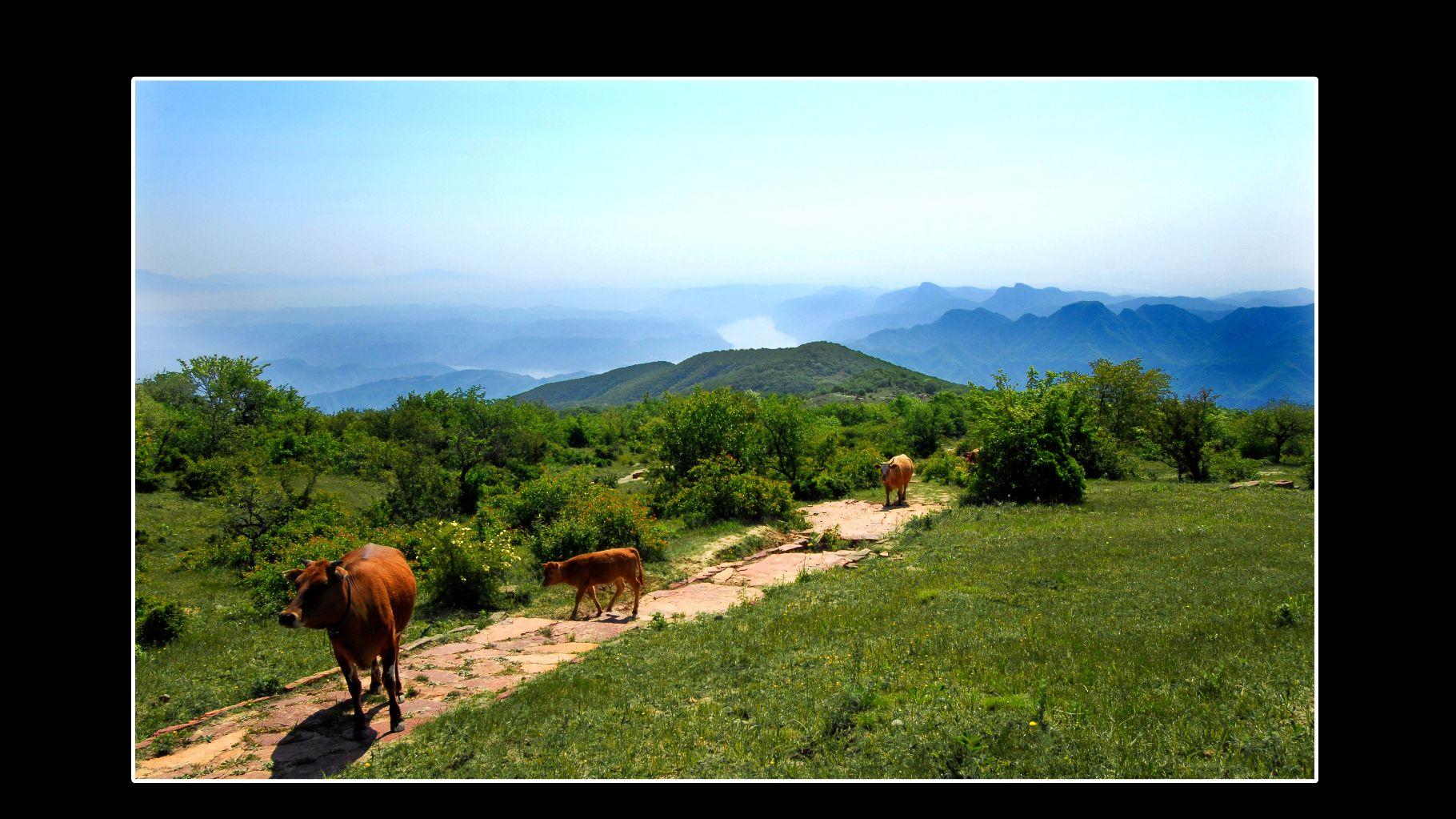 黛眉山：轻松登顶，邂逅云中仙境