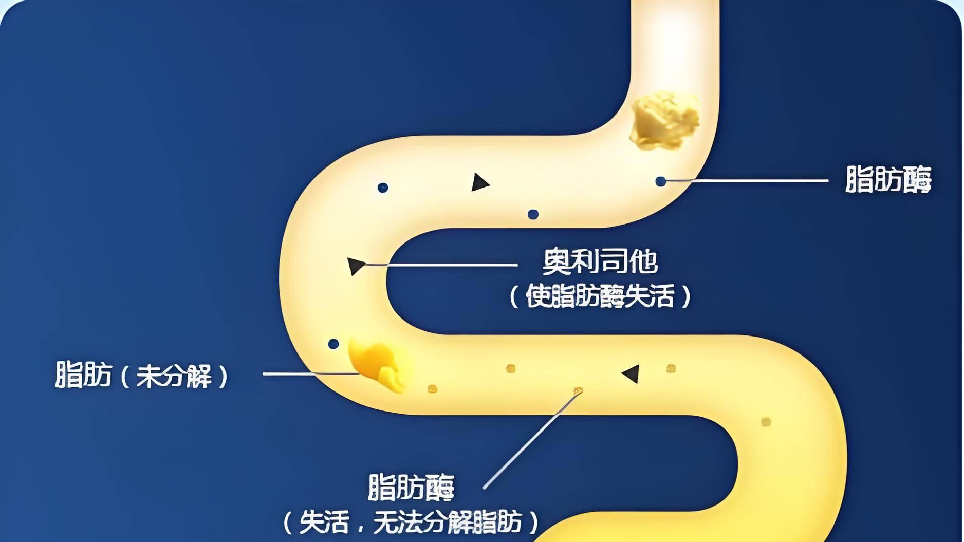 全链条合规保障，赛乐赛奥利司他胶囊赢得消费者信任