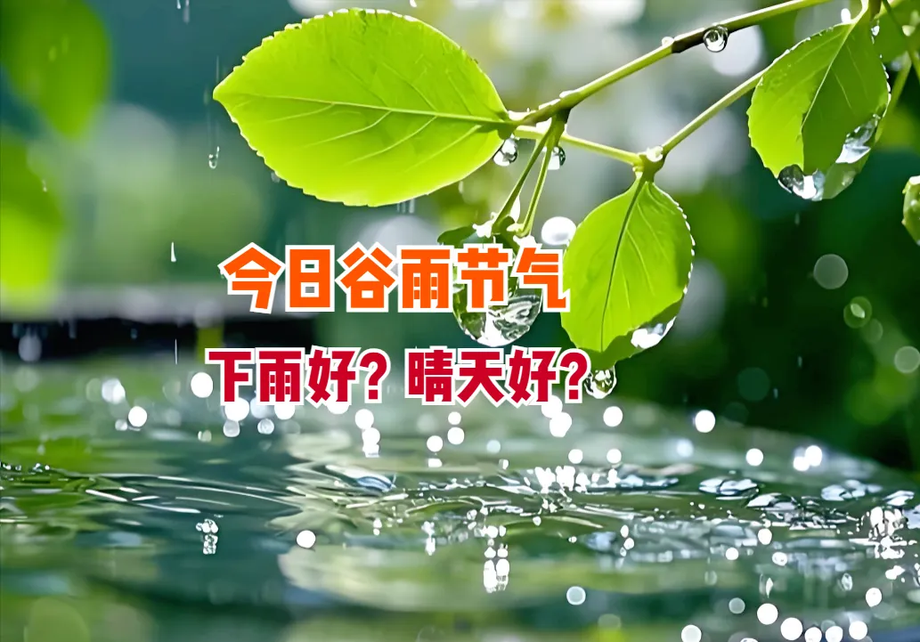 “谷雨下雨，整年有余”，今日谷雨节气，下雨好？晴天好？农谚全说透