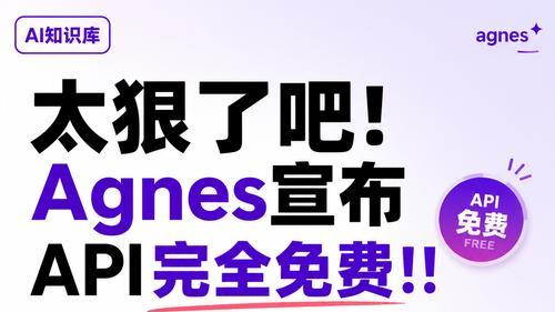 零基础实操教程｜Agnes AI 全模态免费 API 完整接入指南