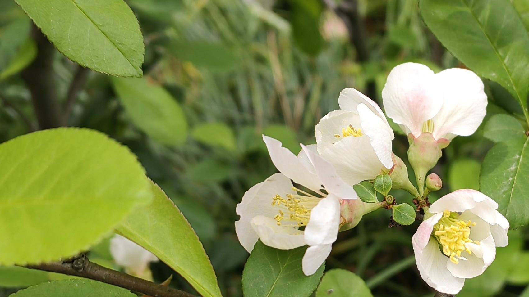 职场折腾，有必要？