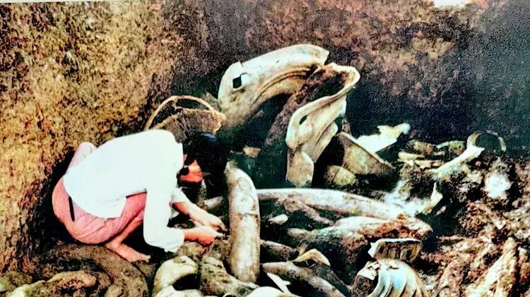 三星堆又有新发现！7号坑挖出3000多年前“天外来客”！