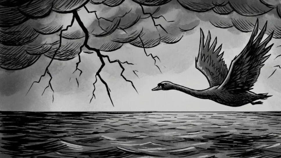 沃什带刀入场，做好流动性大清洗的准备...