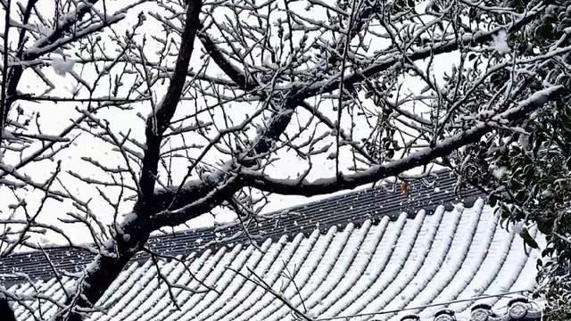 卡在中间层的人生