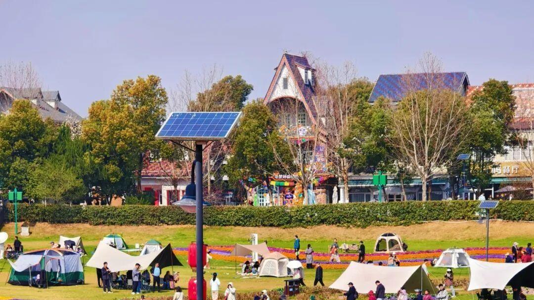 “知音湖北 相约春天”赏樱花活动在蔡甸区浪漫启幕！