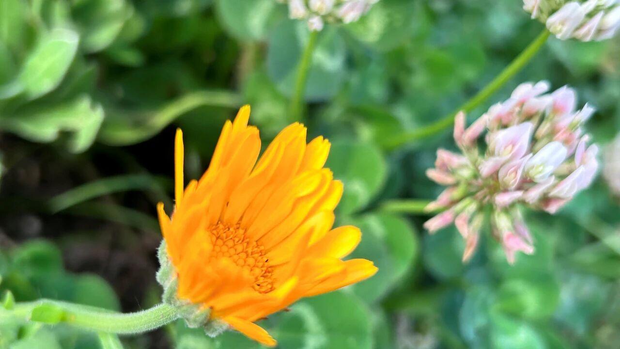 有三种男人，承担不了家庭责任，嫁了注定吃苦