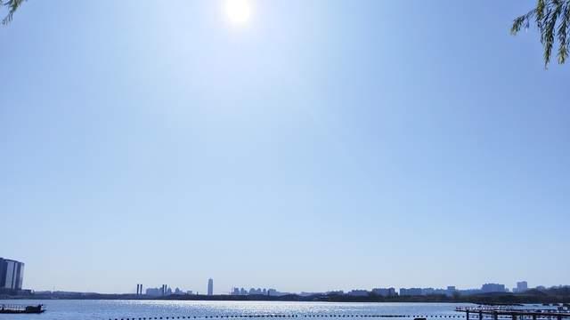 你越控制孩子越反抗！青春期真正高段位的父母，都懂得“退位”