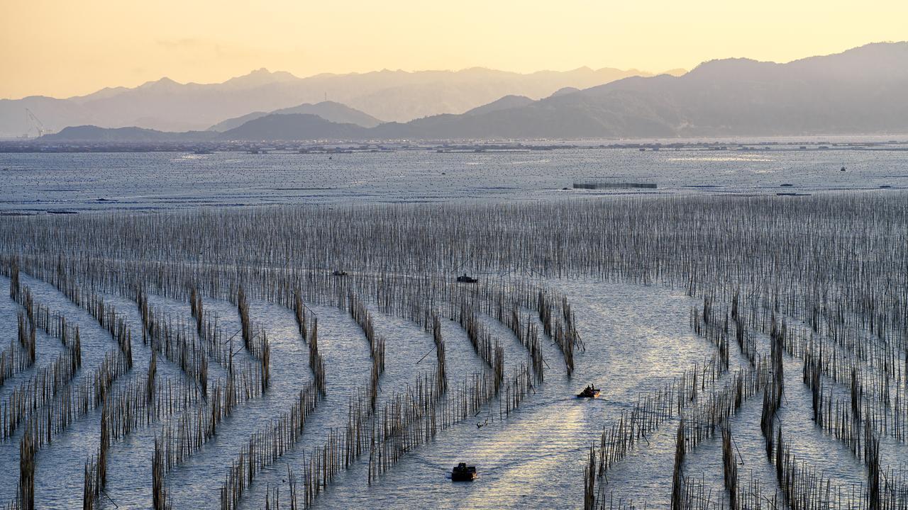 领导逼你主动离职？你就这么干！