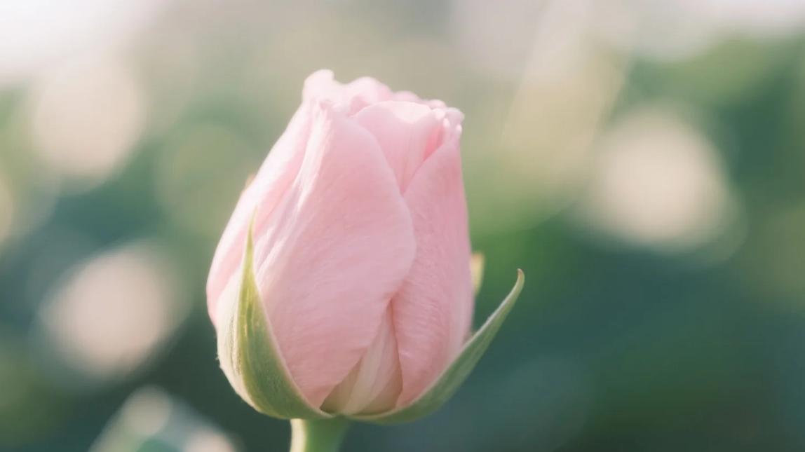 真心爱你的人，都会在这3件事上很“狠心”