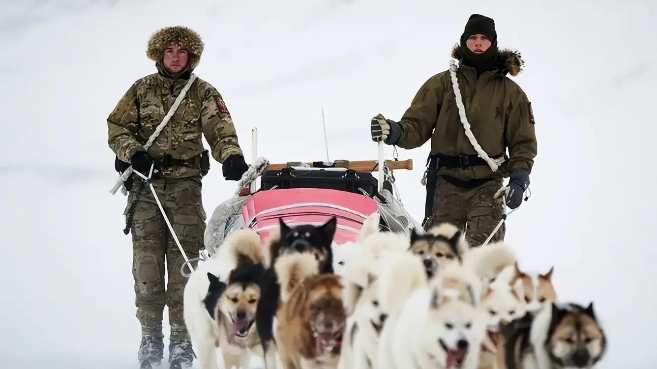 ​生存还是战斗？这场零下30度的极地“冷战”，比大国热战还凶险