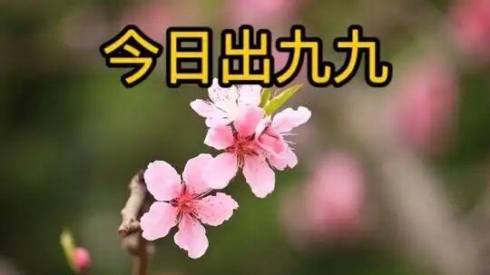 今日出九九，老话说“出九有三怕”哪三怕？每一样都关乎春耕收成