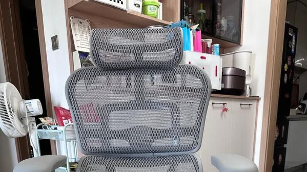 国内哪个牌子的人体工学电脑椅最好？2026十大国产人体工学电脑椅推荐