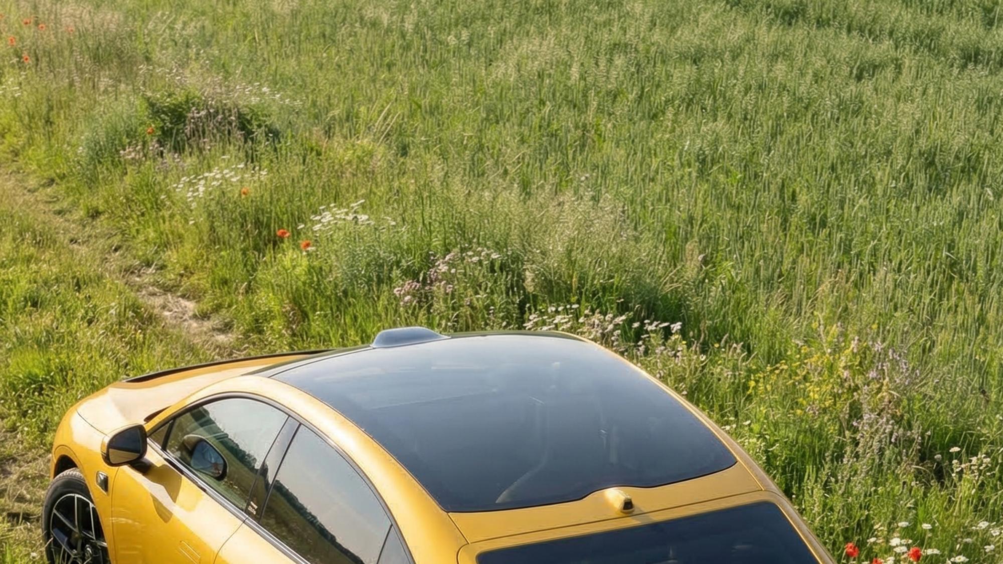 打工人刚需，这部车是能躺能休能装的移动空间