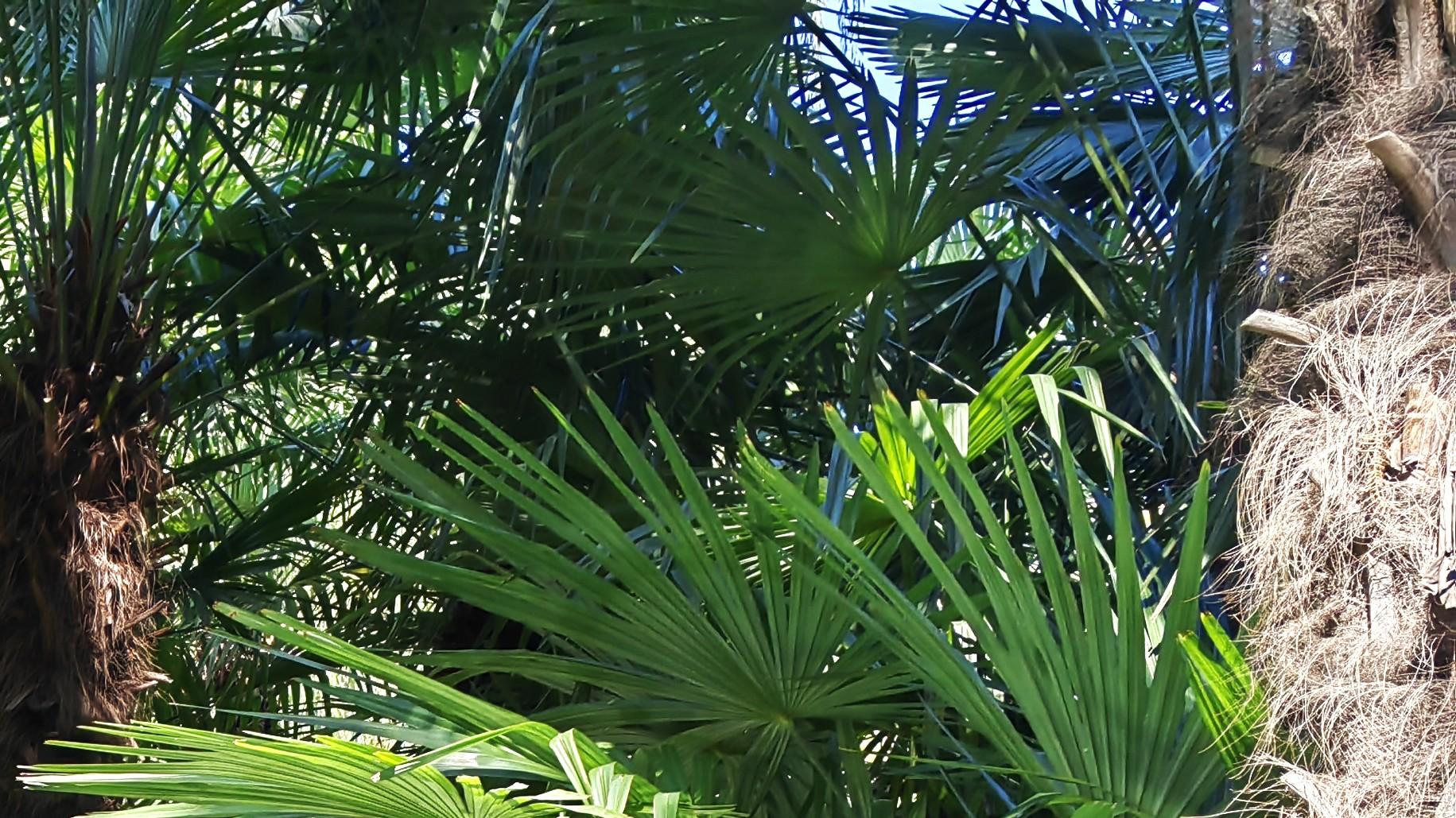 职场风雨，输得起，就扛得动