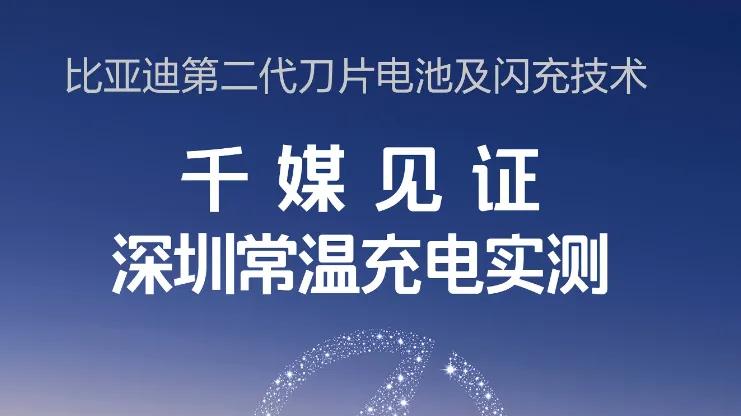 比亚迪：研发资本化的"会计魔术"真相