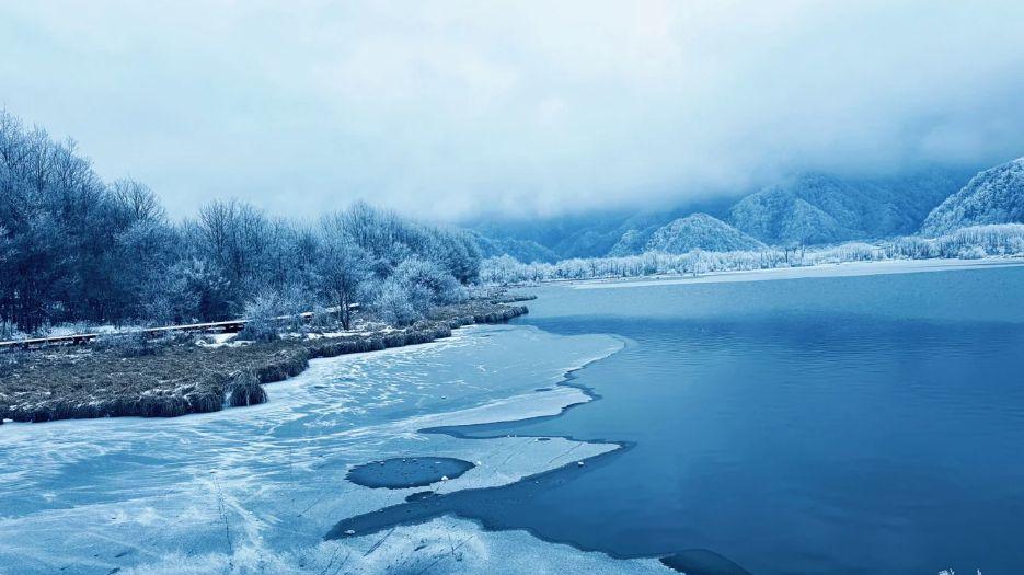 神农架洗肺之旅，在原始森林里寻找传说中的野趣