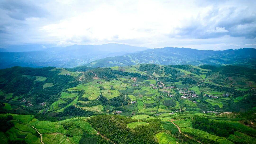 “十四五”川滇明珠会东如何实现跨越发展？“三大战略”成效几何？