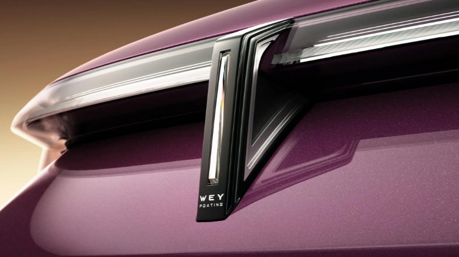 这样的魏牌见过吗？V9X主打豪华大六座，预计售价不便宜