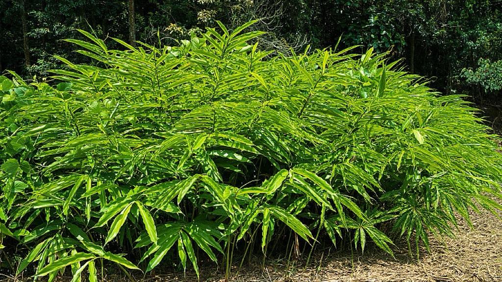 年味变淡？其实是安全感变厚了