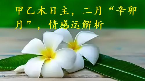 甲乙木日主，二月“辛卯月”，情感运解析