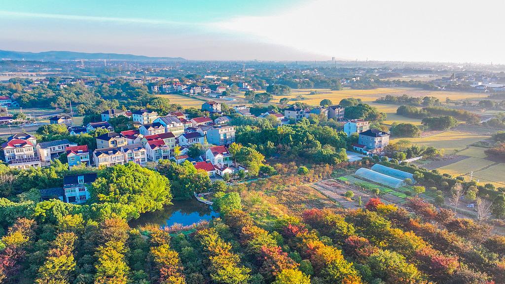姐姐给弟弟送面粉招弟媳埋怨，弟弟说想把亲姐送去精神病院，姐姐憋屈和邻居诉苦，邻居: 你心里的确有病，