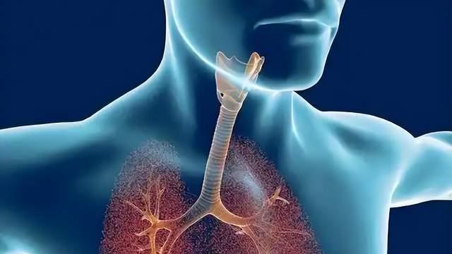 咳嗽半年了，痰特别多，有时还喘不上气，小心慢性支气管炎