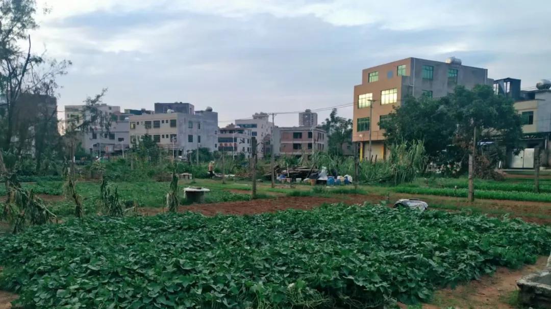 深度观察：乡村里最可悲的不是穷，是代代难破的命运泥沼