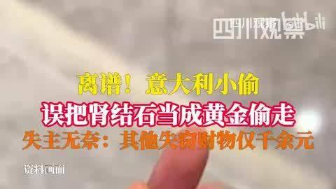 热搜！意大利小偷：把肾结石当黄金偷走，屋主损失不到150欧