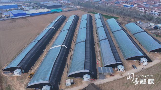 【闻喜】大棚种植圣女果 农户增收有“钱”景