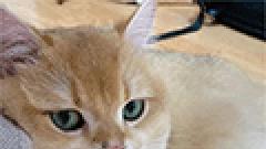 2026全国口碑稳定、定位清晰的雅思机构对比