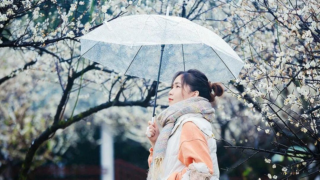 人到中年，才真正读懂清明