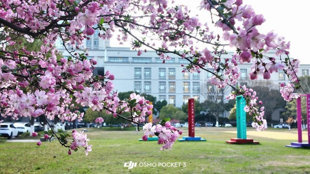 江南大学怎么样？太湖凝秀色，一校醉江南！
