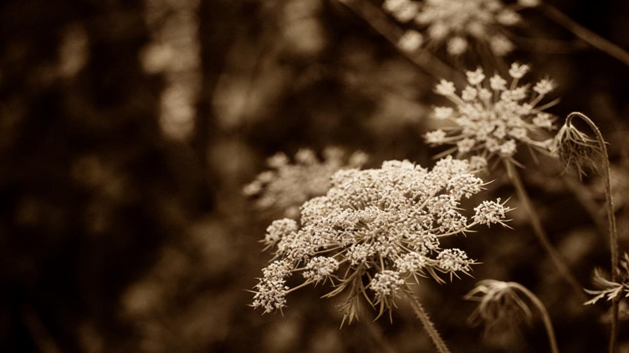 心怀暖阳，岁月自有归途