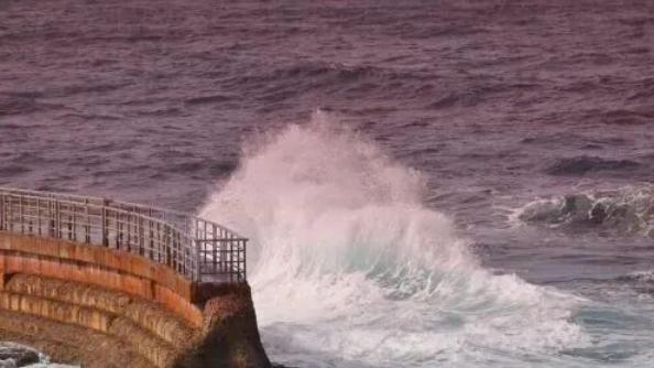 授权的边界：当责、时间表与赋权在教练对话中的运用